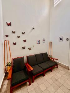 Bears house condesa-roma norte