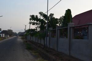 Nyerere Green Lodge