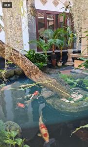 Grahadi41 Guest house Seminyak