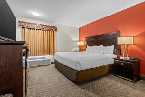 Comfort Inn & Suites Airport South