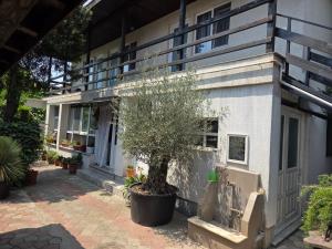 Casa Iasmina