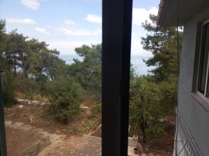 Apartament Ada