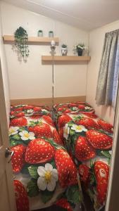 Luxury Family Caravan St Osyth Beach Clacton on Sea