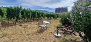 Chambre dHotes Le Vogelgarten