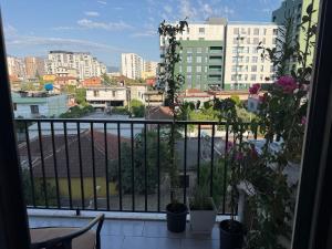 Modern 2BR Near City Ring & Main Road Access