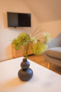 Cosy Studio in the City center with Air conditioneer!