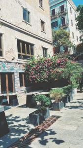 Daniels Apartment