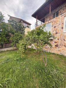 Sea View Terrace House w Garden Near Cunda Island