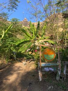 Jungle Boat Haven