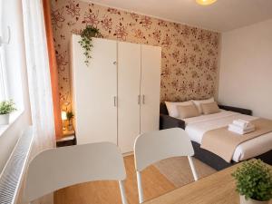 Zet studio alba iulia