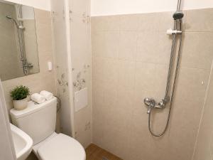 Zet studio alba iulia