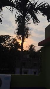 green house stay