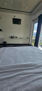 Adelisca Glamping, Cafe and Villa