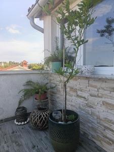 Apartman Lea