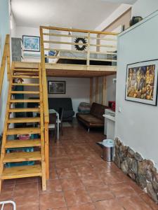 Casa El Drago - Gran Canaria