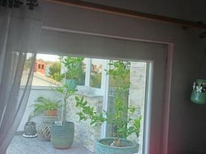 Apartman Lea