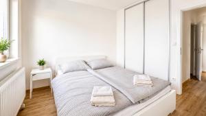 Air conditioned 2 room apartment with terrace, Prievozska street