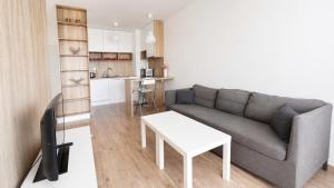 Air conditioned 2 room apartment with terrace, Prievozska street