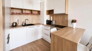 Air conditioned 2 room apartment with terrace, Prievozska street