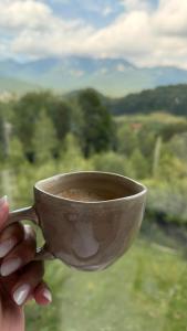 Bella Vista Cheia