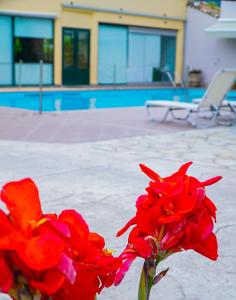Hotel Odyssion