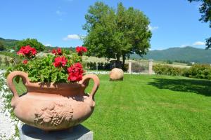 Podere Bocci residence in Casentino - Entire Villa
