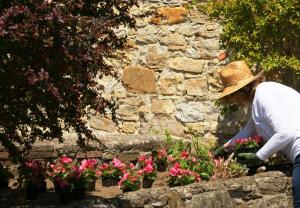 Podere Bocci residence in Casentino - Entire Villa