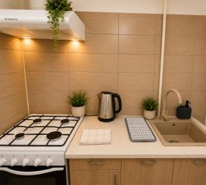 Metropole Apartments - Old City