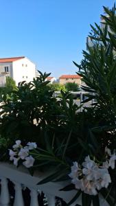 Villa Nicky I