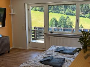 Ferienwohnung mit Pool, Sauna und einem tollen Blick über den Schwarzwald, nahe Freudenstadt