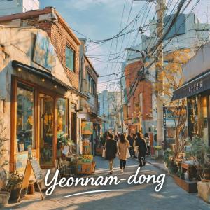 홍대 합정 마포구청역도보3분거리 단독 큰거실 3Room 퀸베드3개 최대8인가족단체