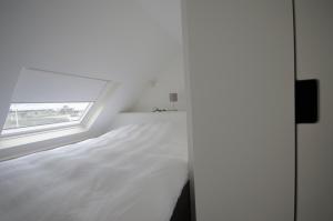 Flamingo Beach Apartments