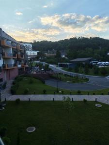 Apartman Andjela Fruške Terme ,Orhideja