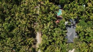 ReSync Areca - 3BR villa with Pool, Private Theatre, Snooker Room and Curated Meals