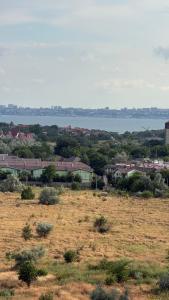 59 жемчужина Кадор