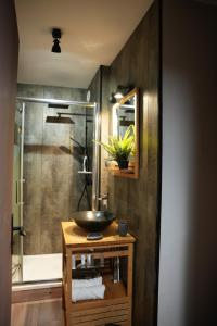 Industrial loft studio - Nancy