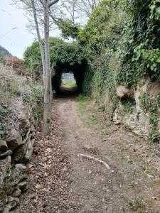 Dans un cadre verdoyant