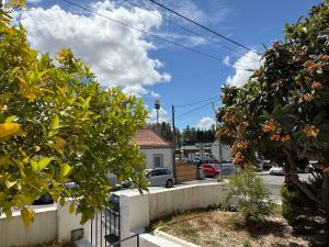 Orange Tree Private Home