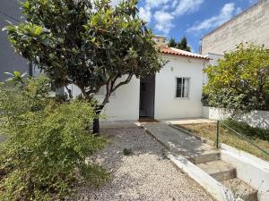 Orange Tree Private Home