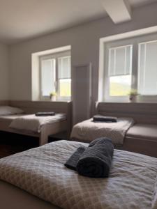 Apartmán Špičák