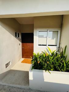 Luxury Apartment in Acapulco Diamante with Beach Club & Premium Amenities