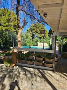 Casa Villa