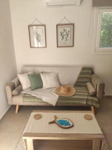 Artemis Apartments ( Yiannis House)