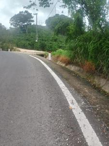 Đà Lạt Green Homestay