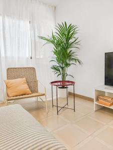 Bright 3 BDR Beach House in Alcala Ocean Views