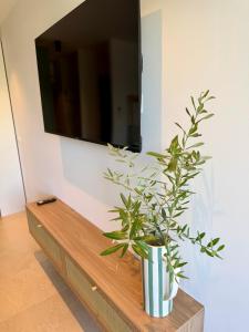 Appartement LOlivier avec climatisation
