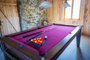 Pyreneasy 3 Gites, 8 bedrooms for a large group