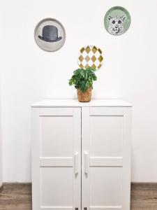 Cosy studio in central Budapest