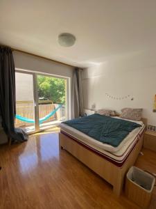 Alexandru Apartments Napoca