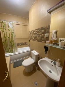 Alexandru Apartments Napoca